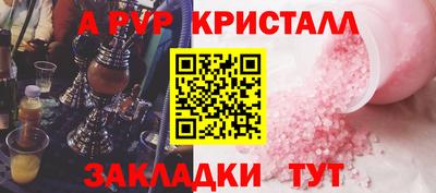 хмурый Кингисепп