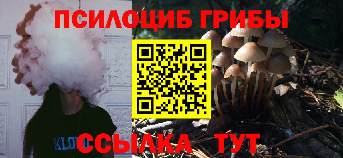 Псилоцибиновые грибы мухоморы Кунгур