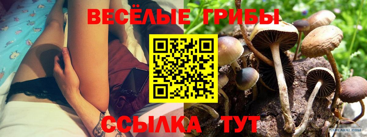 Галлюциногенные грибы мухоморы  Вход с VPN  Кунгур 
